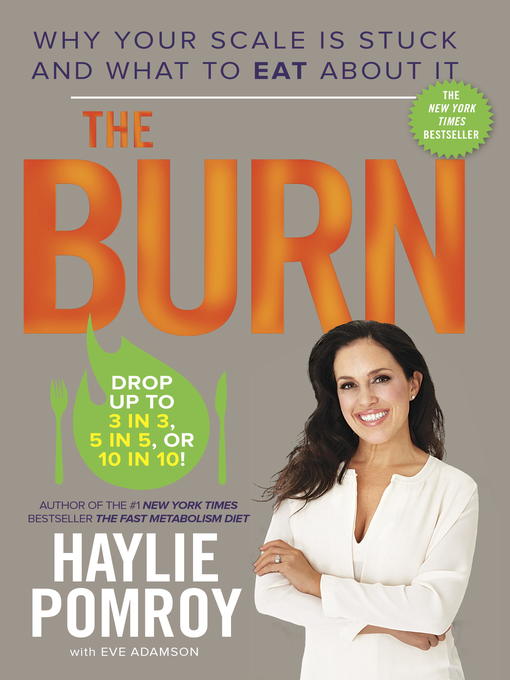 Title details for The Burn by Haylie Pomroy - Available